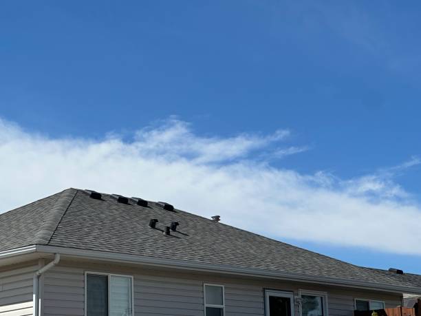 Best Solar Panel Roofing Installation  in Aitkin, MN